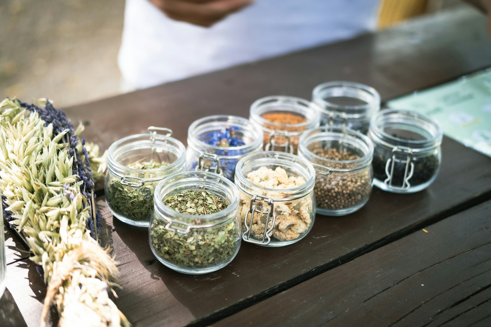 8 Potent Plant Remedies Backed by Science