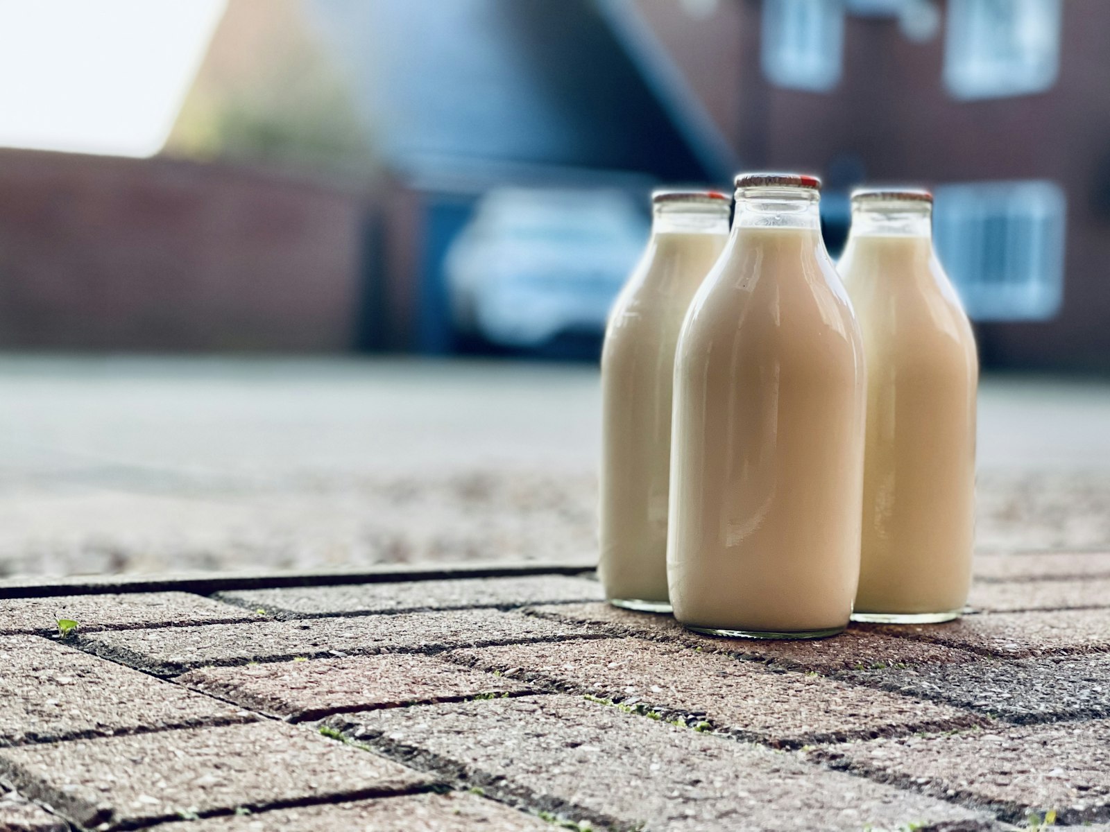 Cow's Milk vs. Plant Milk: A Nutrition Guide
