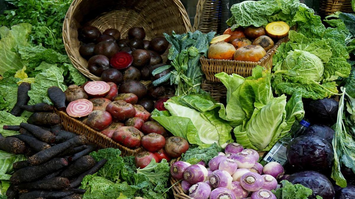 fiber-rich plant foods ancestors — fresh root vegetables in rustic basket