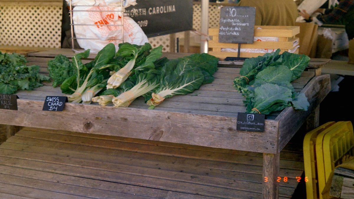 whole-food meals for a happy gut — fresh leafy greens on rustic cutting board